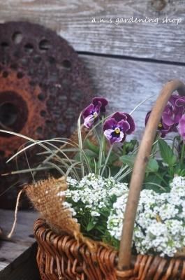 ̴ѥ󥸡Ȥ⤳⤳å󤻿ֿϤǤ