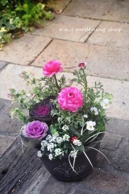 륯Υʥ󥭥饹󤻿ԥ󥯷ϡ