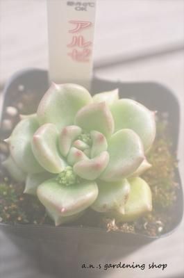 를