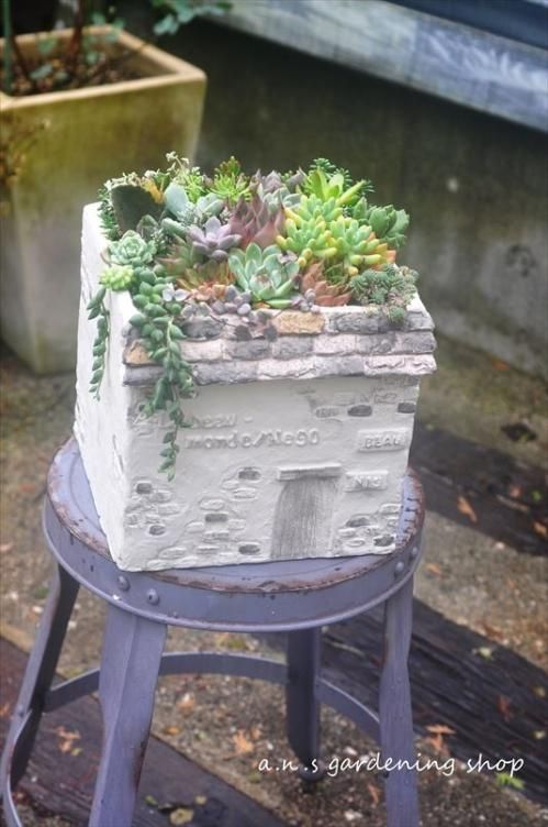 天然自然石・水鉢・蹲・茶庭石・縁先手水鉢】庭石オブジェ置物