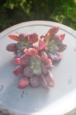 󥰥