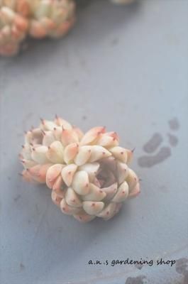 桼2Ƭå
