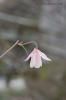 <img class='new_mark_img1' src='https://img.shop-pro.jp/img/new/icons50.gif' style='border:none;display:inline;margin:0px;padding:0px;width:auto;' />󡡡ޥ