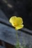 <img class='new_mark_img1' src='https://img.shop-pro.jp/img/new/icons50.gif' style='border:none;display:inline;margin:0px;padding:0px;width:auto;' />֤Ӥ