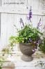 <img class='new_mark_img1' src='https://img.shop-pro.jp/img/new/icons50.gif' style='border:none;display:inline;margin:0px;padding:0px;width:auto;' />ɺӥȽɺȥ˥δ󤻿ƱԲġ̵ۡ