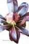 <img class='new_mark_img1' src='https://img.shop-pro.jp/img/new/icons50.gif' style='border:none;display:inline;margin:0px;padding:0px;width:auto;' />¤դǥå󤻿򡡥ꡡ֥å