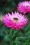 <img class='new_mark_img1' src='https://img.shop-pro.jp/img/new/icons50.gif' style='border:none;display:inline;margin:0px;padding:0px;width:auto;' />֤󤶤˥