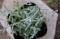 <img class='new_mark_img1' src='https://img.shop-pro.jp/img/new/icons50.gif' style='border:none;display:inline;margin:0px;padding:0px;width:auto;' />饹奦