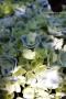 <img class='new_mark_img1' src='https://img.shop-pro.jp/img/new/icons50.gif' style='border:none;display:inline;margin:0px;padding:0px;width:auto;' />ϥɥ󥸥ȣ£