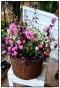 <img class='new_mark_img1' src='https://img.shop-pro.jp/img/new/icons12.gif' style='border:none;display:inline;margin:0px;padding:0px;width:auto;' />ߥ˥Х󤻿