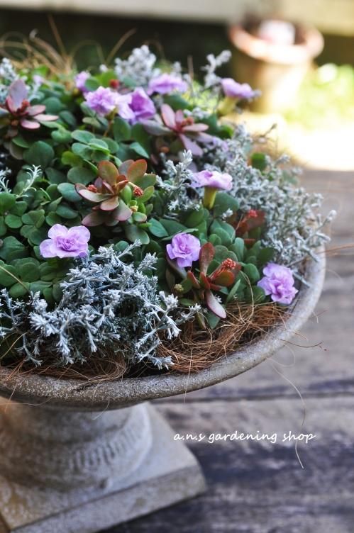 貴重美品　ガーデニング用品 フラワーカート MT-7033-80 - ガーデニング雑貨TOOLBOX