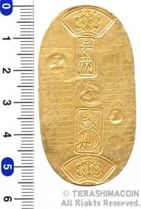 寺島コイン☆オンラインショップ