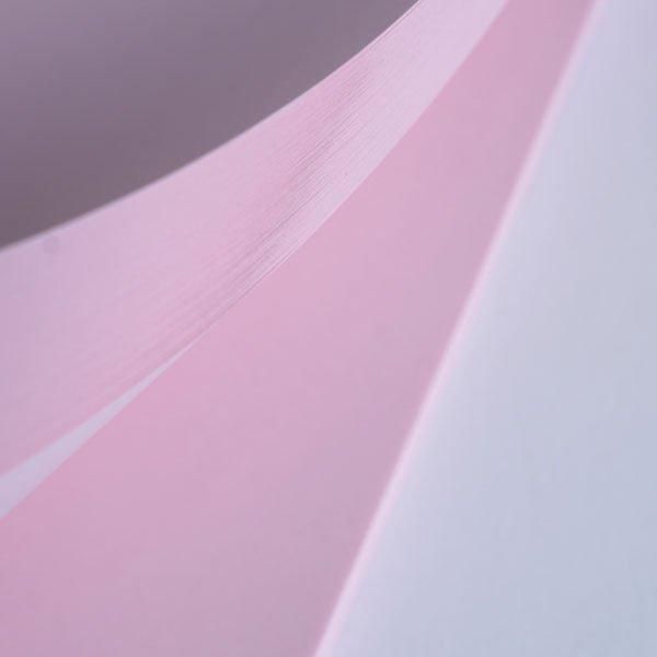 Noritake / SAKURA