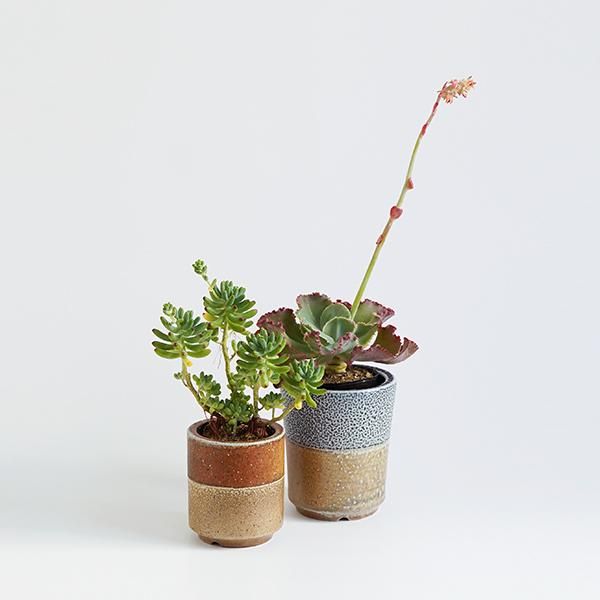 お歳暮 人気 オシャレ 伊藤丈浩/植木鉢 T4 鉢・プランター