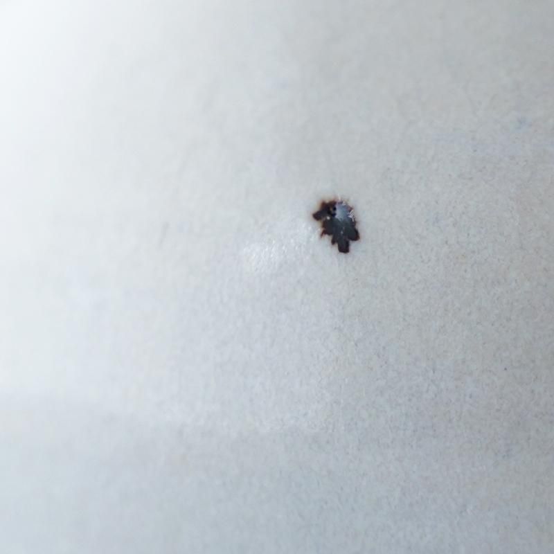 郡司庸久 / ポット