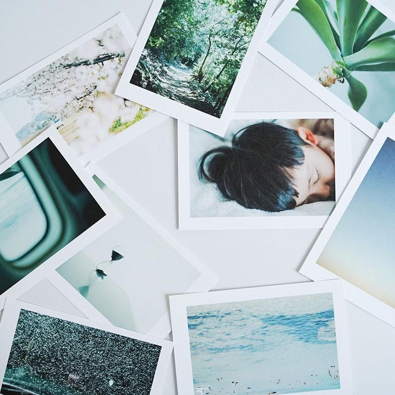 まむ ポストカード Postcard01_1200x.jpg?v=1755023944