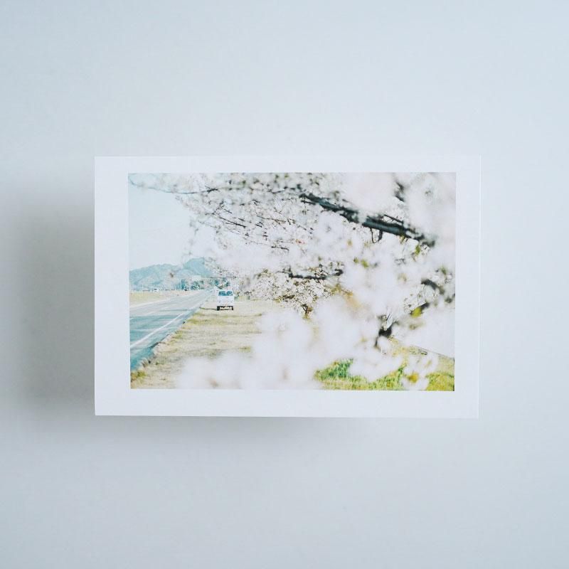 みずのしたオリジナルポストカード - side B / 中川 正子