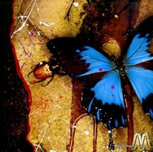 MOOOMIN Ǥο SYUM0229