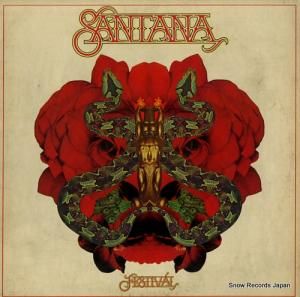 󥿥 festival PC34423