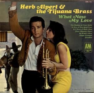 ϡ֡ѡȤȥƥեʡ֥饹 ƺ AML43