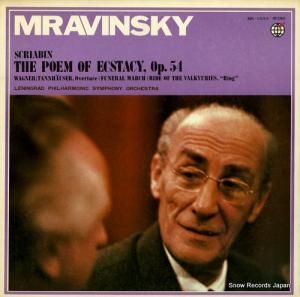 եˡ󥹥 ꥢӥ󡧡ˡ٤λ׺ʣ MK-1032