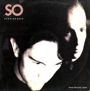 SO burning bush 12R6182