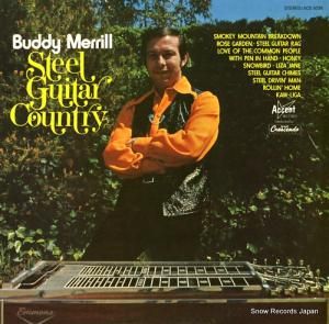 Хǥ steel guitar country ACS5036
