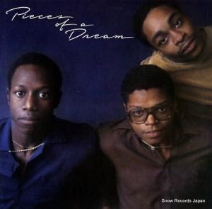 ԡ֡ɥ꡼ pieces of a dream 6E-350