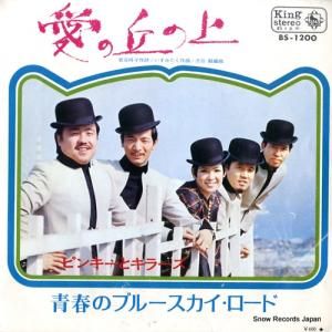 ԥ󥭡ȥ顼 ε֤ξ BS-1200