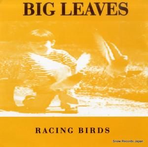 ӥå꡼ racing birds W-CRACK003
