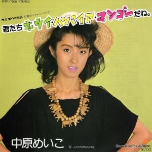渶ᤤ ѥѥޥ󥴡͡ WTP-17600