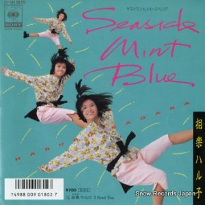 ڥϥ seaside mint blue 07SH1870