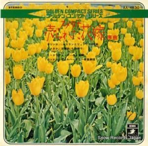 ɥꥢ󡦥ܡ ᥿ʡ줿ֲǡ AA-4630