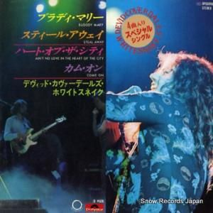 ǥåɡǡ륺ۥ磻ȥͥ ֥ǥޥ꡼ DPQ6096