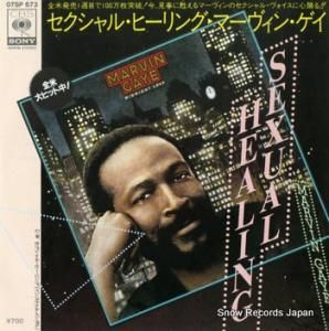 マーヴィン・ゲイ セクシャル・ヒーリング 07SP673