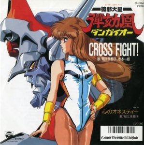 ٹԻҡڰϺ cross fight CH-134