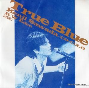 ĸ true blue RT07-2111