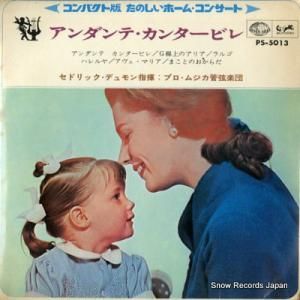 ɥåǥ ơ󥿡ӥ PS-5013