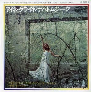 ɡǡꥪ ͡饤͡ʥϥȥॸ LL-2485-H