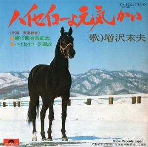増沢末夫 ハイセイコーよ元気かい DR1922