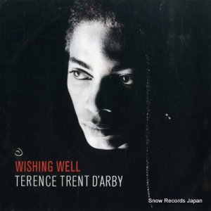 ƥ󥹡ȥȡӡ wishing well 38-07675