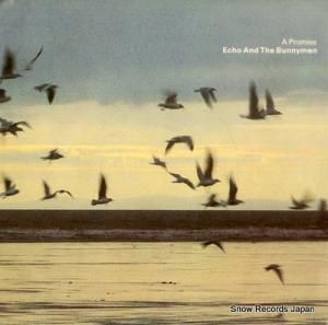 Хˡ a primise KOW15