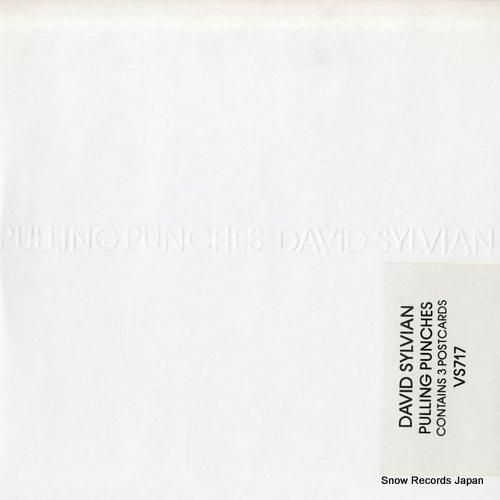 デヴィッド・シルビアン pul