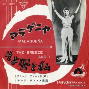 ���ƥ꡼�ʡ��������� �ޥ饲�˥� DP-1007