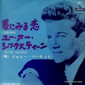 ˡСͥå ̴ˤߤ LIB-1