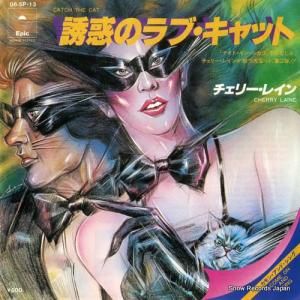 ꡼쥤 ͶǤΥ֡å 06.5P-13