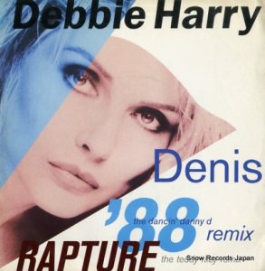 ǥӡϥ꡼ rapture(the teddy riley remix) VS443328