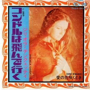 ꥪ顦󥯥åƥ ɥǹԤ HIT-1833