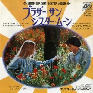 աޡǥ ֥饶󡦥ࡼ P-1230A