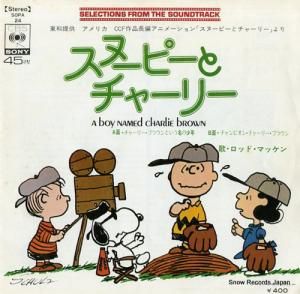 åɡޥå 㡼꡼֥饦Ȥ̾ξǯ SOPA24